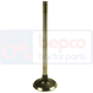 exhaust valve         , Hurlimann, H - H361