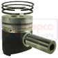 PISTON WITH RINGS , Same, Engine and components, Pistons-Ring sets-Liners, Piston and ring