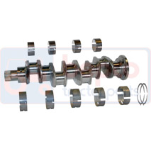 CRANKSHAFT KIT, Massey Ferguson, 100 - 175, Dzinējs un tā sastāvdaļas, Kloķvārpsta un spararats, Kloķvārpsta, 31315881, 3637789M91, 3639541M1, 736829M91, 84422, 85821, U5BG0053, U5BG0054, ZZ90093, ZZ90108, , CRANKSHAFT KIT, 30/1-4, 31315881, 3637789M91, 3639541M1, 736829M91, 84422, 85821, U5BG0053, U5BG0054, ZZ90093, ZZ90108, , 33.50 kg