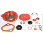 FUEL PUMP REPAIR KIT         , Ford, 00 - 3100