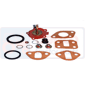 FUEL PUMP REPAIR KIT , Landini, 60 - 6060F, Supply and injection, Fuel pump, Repair kit and replacement parts