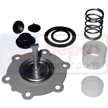 FUEL PUMP REPAIR KIT , Case-IH, 45 - 645, Supply and injection, Fuel pump, Repair kit and replacement parts, 3136002R91, , FUEL PUMP REPAIR KIT , 25/101-24, 3136002R91, , 0.00 kg