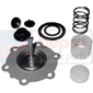 FUEL PUMP REPAIR KIT         , Renault / Claas, Classique - R489