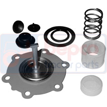 FUEL PUMP REPAIR KIT , Renault / Claas, Classique - 96, Supply and injection, Fuel pump, Repair kit and replacement parts, 6005003408, , FUEL PUMP REPAIR KIT , 28/101-42, 6005003408, , 0.01 kg