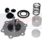 FUEL PUMP REPAIR KIT         , Fendt, Farmer Classique - 5S