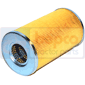 FUEL FILTER         , New Holland, TCE - TCE45