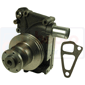 WATER PUMP         , Steyr, 80 - 8075(A)/(A)S/(A)P