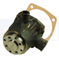 WATER PUMP         , Fendt, Favorit 600 - 611LSA