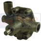 WATER PUMP , Landini, Cingolati - CF4830, Cooling Systems, Water pump, Water pump