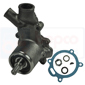 WATER PUMP         , Massey Ferguson, Fermec-Terex - 860SE