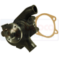 WATER PUMP         , Massey Ferguson, 3200-3300 - 3340V