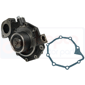 WATER PUMP , Renault / Claas, Ergos - Ergos 446, Cooling Systems, Water pump, Water pump