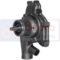 WATER PUMP         , Massey Ferguson, 1200 - 1250