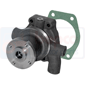 WATER PUMP         , Ford, Dexta - Super Dexta