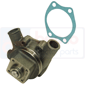 WATER PUMP         , Renault / Claas, Classique - N71