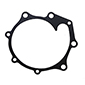 REPAIR KIT         , Ford, Skidded - 4190