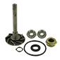 REPAIR KIT , Case-IH, Cooling Systems, Water pump, Water pump repair kit