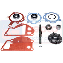 REPAIR KIT , Massey Ferguson, 3200-3300 - 3220AP(X), Cooling Systems, Water pump, Water pump repair kit, 3637769M91, 3640383M91, 3641283M91, U7LW0032, U7LW0054, U7LW0068, U7LW0085, U7LW0100, , REPAIR KIT , 30/131-174, 3637769M91, 3640383M91, 3641283M91, U7LW0032, U7LW0054, U7LW0068, U7LW0085, U7LW0100, , 0.30 kg