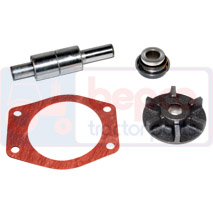 REPAIR KIT , Massey Ferguson, 3200-3300 - 3210GE(X), Cooling Systems, Water pump, Water pump repair kit, 3637445M91, 3640323M91, 3641352M91, 3641392M91, 58293, 58305, 731774M91, 740607M91, 740647M91, 741881M91, 89018, 89019, 89025, U7LW0044, U7LW0075, U7LW0104, U7LW0105, , REPAIR KIT , 30/131-2, 3637445M91, 3640323M91, 3641352M91, 3641392M91, 58293, 58305, 731774M91, 740607M91, 740647M91, 741881M91, 89018, 89019, 89025, U7LW0044, U7LW0075, U7LW0104, U7LW0105, , 0.55 kg