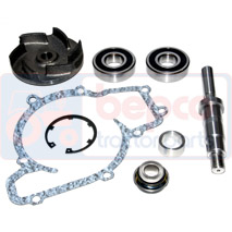 REPAIR KIT , Landini, Cooling Systems, Water pump, Water pump repair kit, 3637480M91, 3640328M91, 3641332M91, 68572, 68576, 68584, 747891M91, U7LW0060, U7LW0080, U7LW0097, , REPAIR KIT , 30/131-49, 3637480M91, 3640328M91, 3641332M91, 68572, 68576, 68584, 747891M91, U7LW0060, U7LW0080, U7LW0097, , 1.63 kg