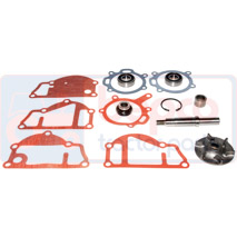 REPAIR KIT , Massey Ferguson, 200 - 265, Cooling Systems, Water pump, Water pump repair kit, 737095M91, 747965M91, 82891, 85009, 85800, U7LW0025, , REPAIR KIT , 30/131-6, 737095M91, 747965M91, 82891, 85009, 85800, U7LW0025, , 0.90 kg