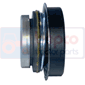 WATER PUMP SEAL         , Landini, 80 - 7880