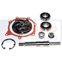 REPAIR KIT , Massey Ferguson, Cooling Systems, Water pump, Water pump repair kit, 3641380M91, U7LW0128, , REPAIR KIT , 30/131-88, 3641380M91, U7LW0128, , 1.70 kg