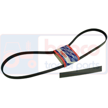 FAN BELT , John Deere, Cooling Systems, Fan belt, Belts, R135822, , FAN BELT , 26/144-542, R135822, , 0.17 kg