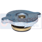 RADIATOR CAP         , Landini, 60 - 6060