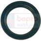 BAGUE 38x52x8, Lamborghini, Seals, Oil seal, Oil seals (specific)