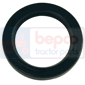 BAGUE 40x56x8, Lamborghini, Seals, Oil seal, Oil seals (specific)