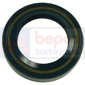 , Hurlimann, Seals, Oil seal, Oil seals (specific)