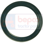 , Hurlimann, Seals, Oil seal, Oil seals (specific)