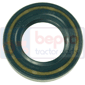 , Hurlimann, Seals, Oil seal, Oil seals (specific)