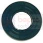 , Hurlimann, Seals, Oil seal, Oil seals (specific)