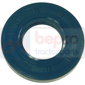 , Hurlimann, Seals, Oil seal, Oil seals (specific)