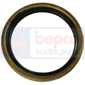 BAGUE 100x125x13 100 x 125 x 13, Lamborghini, Seals, Oil seal, Oil seals (specific)