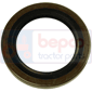 BAGUE 55x80x10, Lamborghini, Seals, Oil seal, Oil seals (specific)