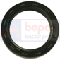 , Hurlimann, Seals, Oil seal, Oil seals (specific)