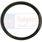 OIL SEAL , Lamborghini, Seals, Oil seal, Oil seals (specific)