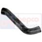 TOP HOSE         , Renault / Claas, 100 - 180-94