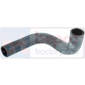 BOTTOM HOSE         , Massey Ferguson, 400 - 440