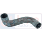 BOTTOM HOSE         , Massey Ferguson, 100 - 155