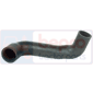 BOTTOM HOSE         , Massey Ferguson, 6100 - 6130