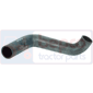 BOTTOM HOSE         , Massey Ferguson, 4200 - 4235