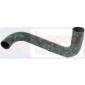 BOTTOM HOSE         , Massey Ferguson, 200 - 293