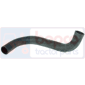 BOTTOM HOSE         , Massey Ferguson, 1000 - 1004