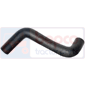 BOTTOM HOSE         , Ford, 10 - 7710