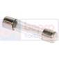 GLASS FUSE (5A) x10 Ø 5.0 - L.20mm, Electrical, Electrical components, Fuse, Glass fuse