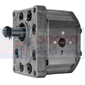 POMPE , Landini, 30 - 5530V, Hydraulic pumps and motors, Hydraulic pumps, Hydraulic pumps